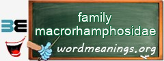 WordMeaning blackboard for family macrorhamphosidae